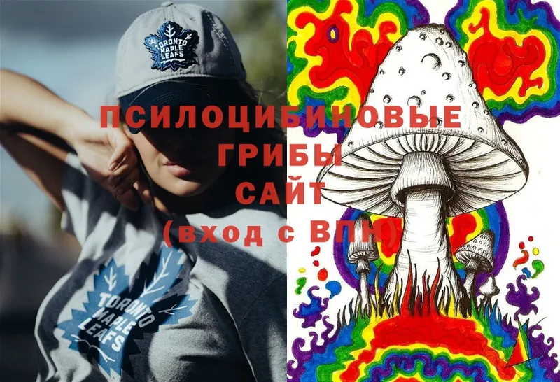 Галлюциногенные грибы Cubensis  Изобильный 